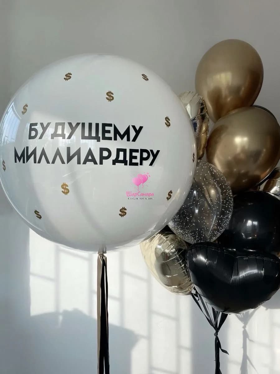 Набор воздушных шаров будущему миллардеру №967