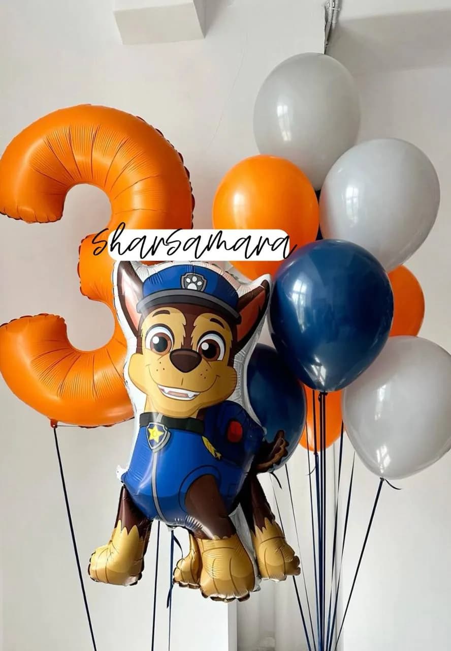 Набор воздушных шаров гонщик №866