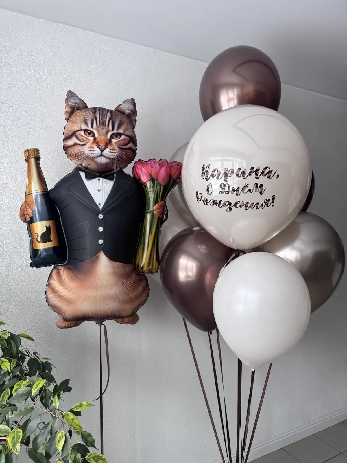 Набор воздушных шаров кот поздравительный №2439