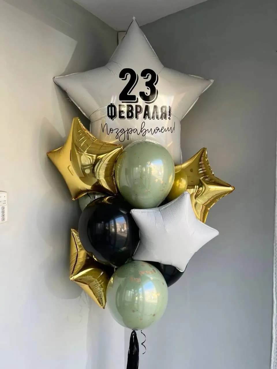 Набор воздушных шаров на 23 февраля №28