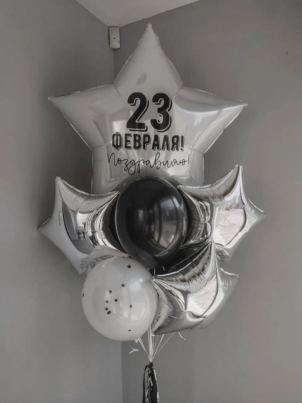 Набор воздушных шаров на 23 февраля №29