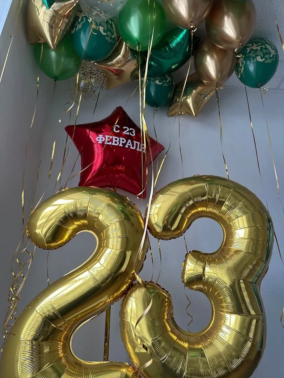 Набор воздушных шаров на 23 февраля №48