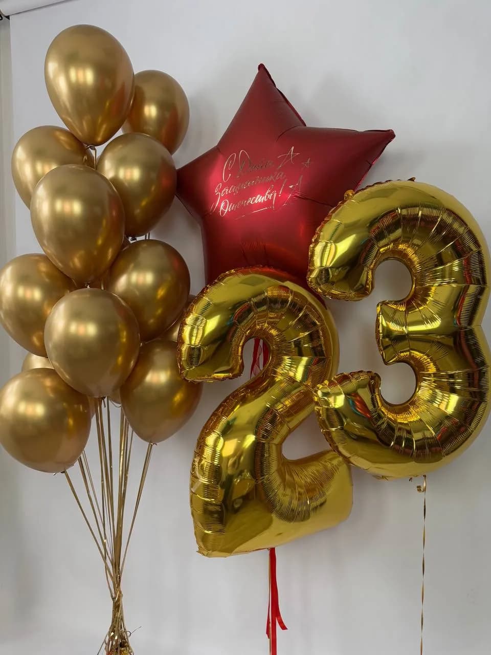 Набор воздушных шаров на 23 февраля №9