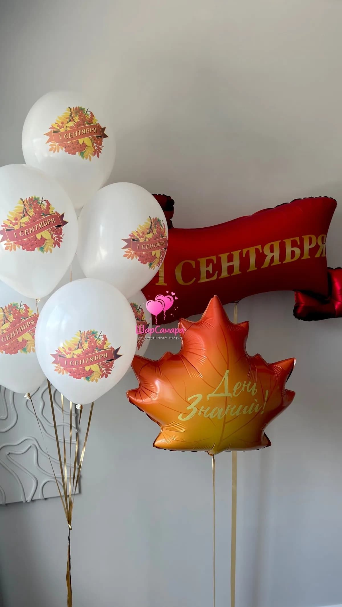 Набор воздушных шаров на 1 сентября №2167