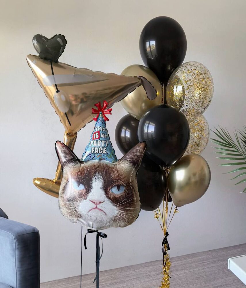 Набор недовольный кот