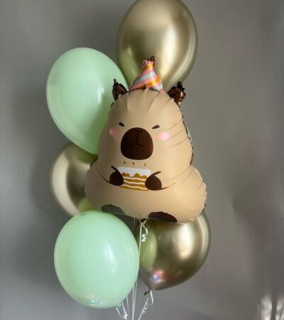 Набор шаров с капибарой и фонтаном 🎈🐾